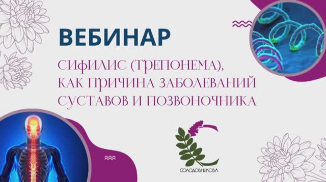 Сифилис (трепонема), как причина заболеваний суставов и позвоночника. Вебинар Солодовниковой Е.С смотреть онлайн
