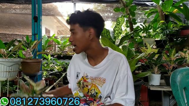 PROMO BESAR BESARAN AKHIR BULAN HARGA TURUN SEMUA DAN PROMO PAKET SUPER MENOR🌱🌱❗❗ смотреть онлайн