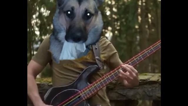 Собачий панк смотреть онлайн