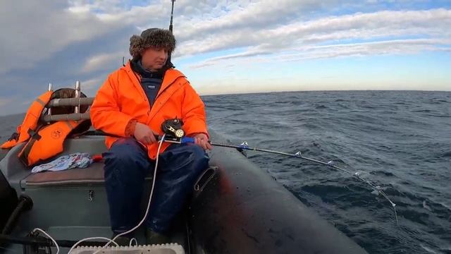 Крабы чуть под УГОЛОВКУ не ПОДВЕЛИ смотреть онлайн