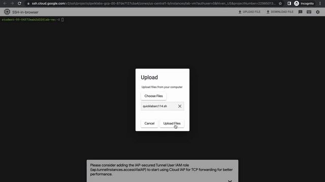 Analyze Speech & Language with Google APIs: Challenge Lab #qwiklabs #ARC114 [With Explanation?️] смотреть онлайн