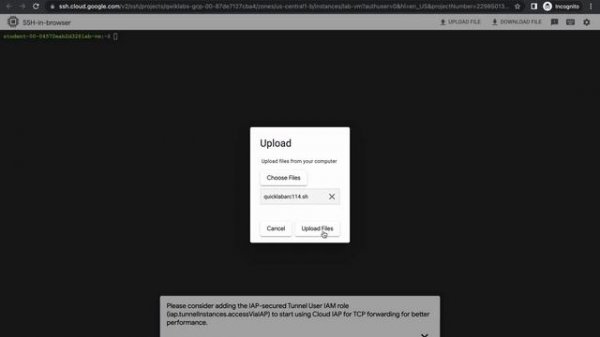 Analyze Speech & Language with Google APIs: Challenge Lab  #qwiklabs  #ARC114  [With Explanation?️]
