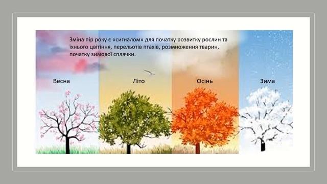 Я досліджую світ 2 клас НУШ 