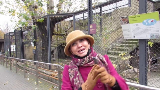 Московский зоопарк. 1ч. смотреть онлайн