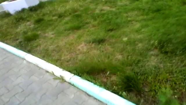 Найти мой дом 4 смотреть онлайн