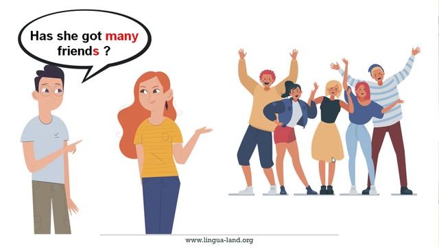 Many / Much. Few / Little. Грамматика английского языка.