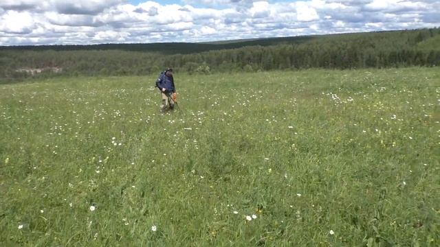 Поиск новых мест. Поиск монет. #15 смотреть онлайн