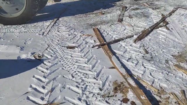 баня из липы смотреть онлайн