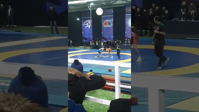 Жора Чимкент 60кг 07.02.2019. 1-орын смотреть онлайн