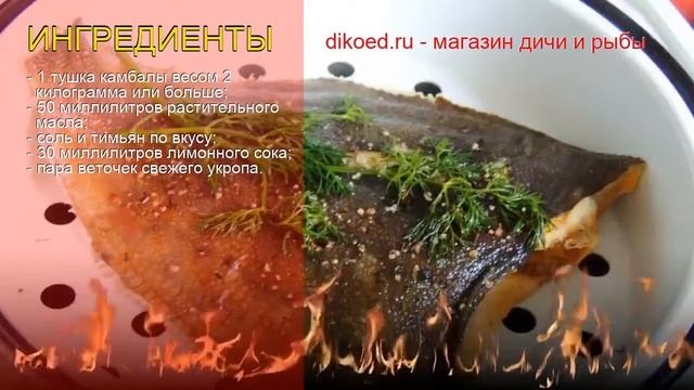 Изучение и Применение Психологических Практик