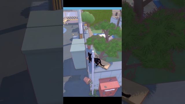 Самый шкодный котяра :3 смотреть онлайн