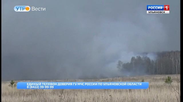 Леса Ульяновской области в опасности смотреть онлайн