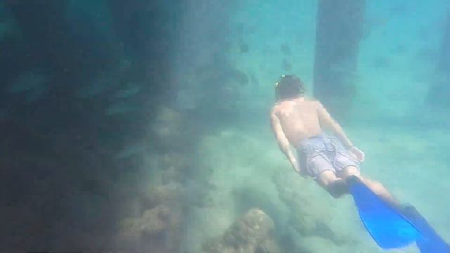 Great barrière reef смотреть онлайн
