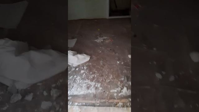 Подготовка пола под укладку линолеума, укладка фанеры под ключ смотреть онлайн