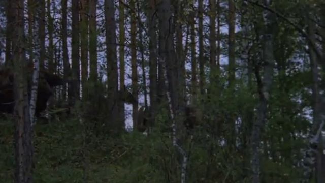 Волчья кровь.Барды.Гренада смотреть онлайн