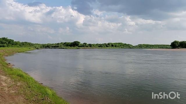 Рыбалка на реке Уссури. Поймали толстолоба. смотреть онлайн