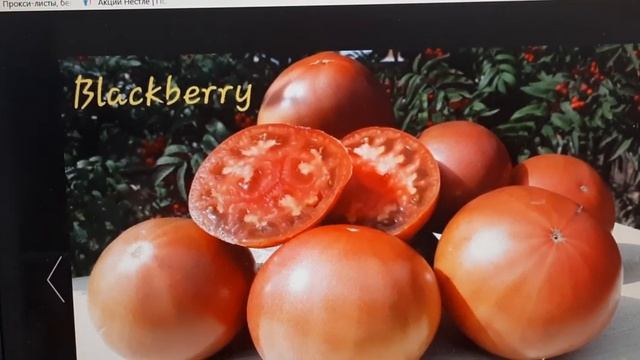 томаты 2021 мой выбор .ч.2