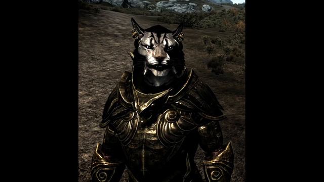 Skyrim Sounds - Some Khajiit Voices (Male) смотреть онлайн