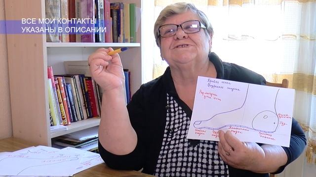 Какой у меня тип ступни? смотреть онлайн