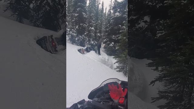yamaha sidewinder and skidoo 800 смотреть онлайн