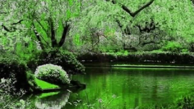 RICHARD CLAYDERMAN - SERENADE смотреть онлайн