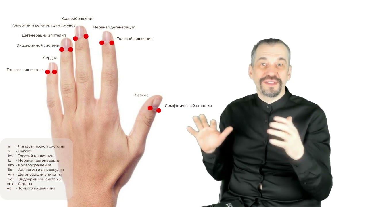 Меридиан эндокринной системы