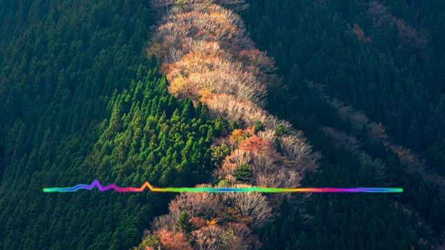 Зугра Меджидова - Дарганти дарганти 2023 лезгинка