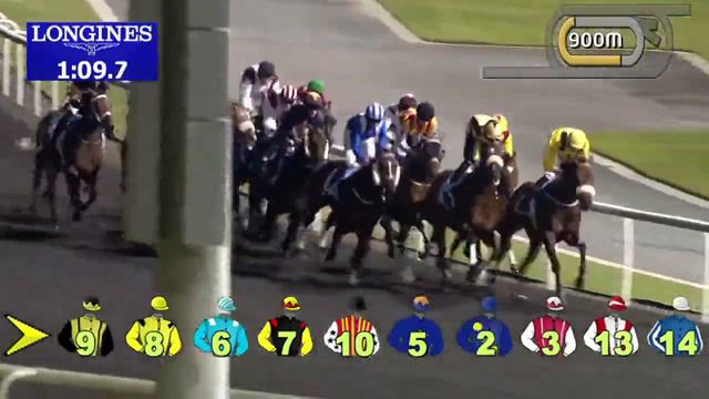 02.01.2014 Meydan (Dubai-UAE) 6.Race Sur Mer - Handicap 1.900 m смотреть онлайн