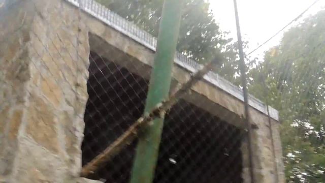Андский кондор . смотреть онлайн