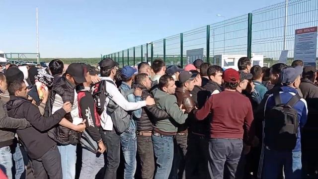 ММФ Калужская область очередь на подачу документов на патент смотреть онлайн