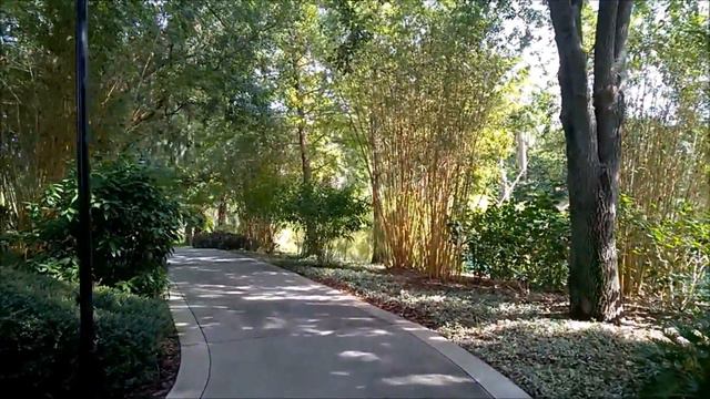 Complete Scenic Walk from Universal Studios to Portofino Bay Hotel смотреть онлайн