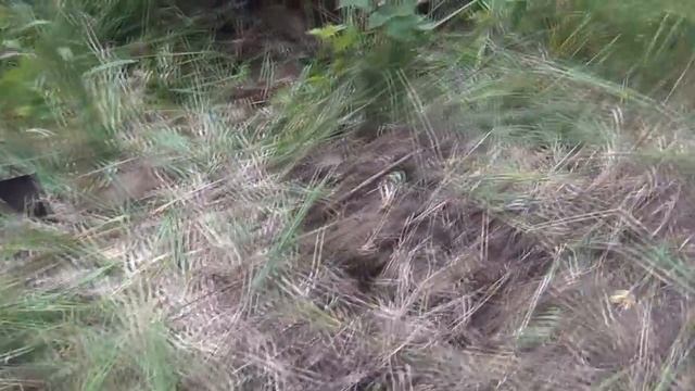 Поиск по ужд есть цель,это вам не в тапках копать))). смотреть онлайн