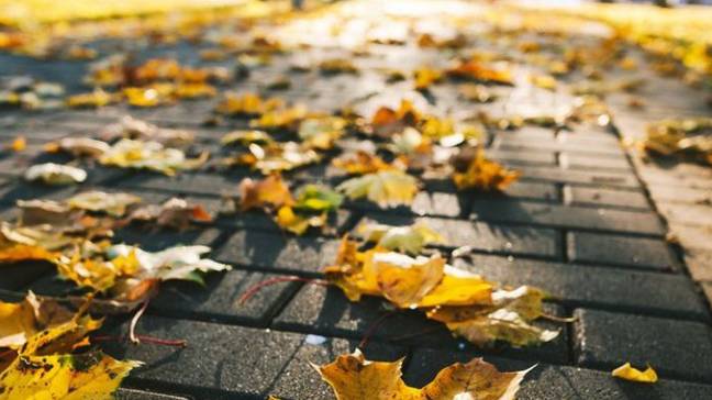 Важные законы сентября 2024 года: судебные пошлины, ипотечное жилье, автомобилисты, субсидии ЖКХ смотреть онлайн