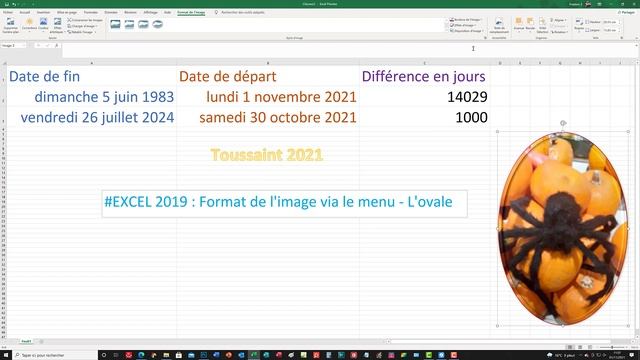 #EXCEL 2019 : Format de l'image via le menu - L'ovale (+ BONUS) смотреть онлайн