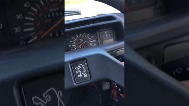 Peugeot 205 XUD9 veggie cold start смотреть онлайн