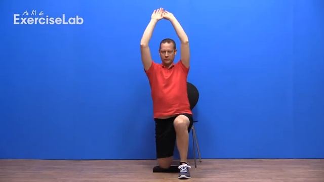 QUADRICEPS DINAMIK GERME EGZERSİZİ смотреть онлайн