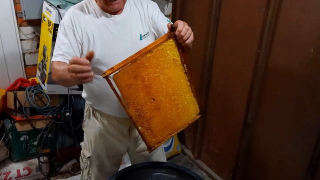 Откачка мёда смотреть онлайн