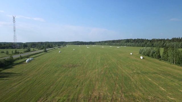 Песчаные карьеры | Ленинградская область| п. Новинка | #пляж #dji #summer смотреть онлайн