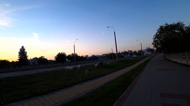Vlog 22.10.2020 / Врач не знает что со мной делать / смотреть онлайн