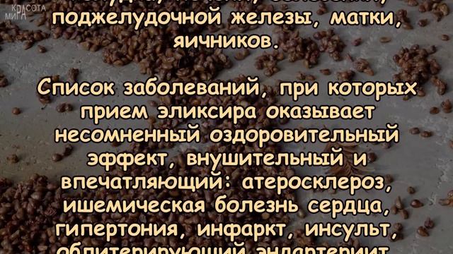 Вы удивитесь! ЭЛИКСИР ЗДОРОВЬЯ от многих болезней смотреть онлайн