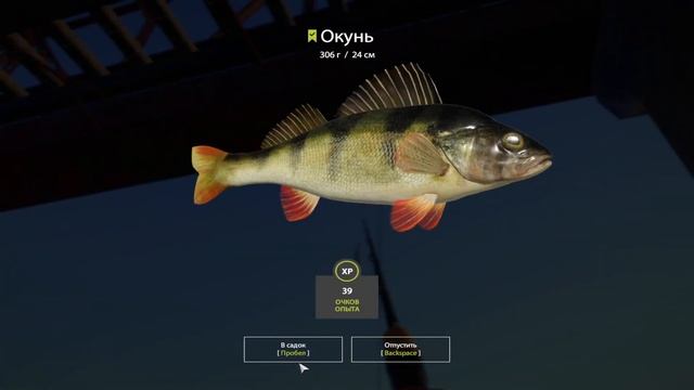 ПРАВИЛЬНАЯ ТЕХНИКА - ЗАЛОГ УСПЕХА! ТВИЧИНГ = ЛОСОСЬ! РР4 смотреть онлайн