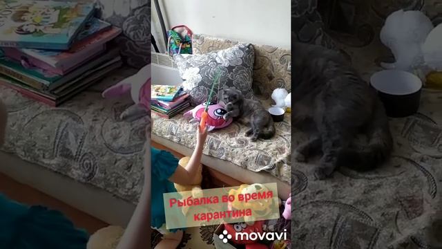 Рыбалка во время карантина смотреть онлайн