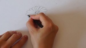 Как нарисовать ромашку // Простые рисунки поэтапно для начинающих