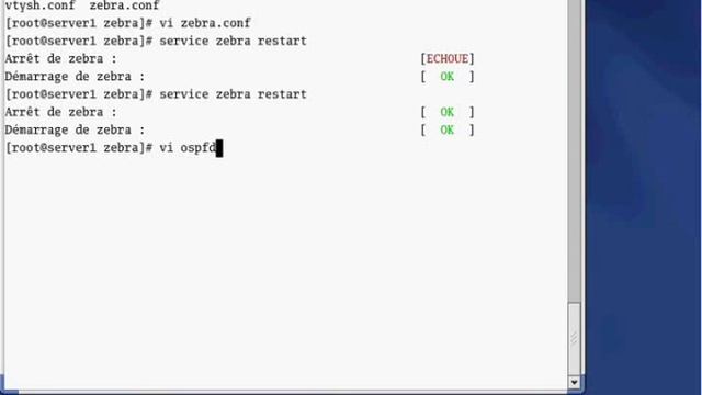 Installation et configuration du routage OSPF sous redhat (khalid moussadik) смотреть онлайн
