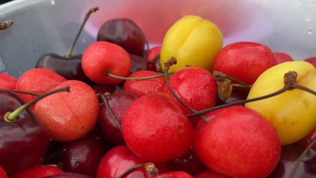 Июнь 2023 г. Тульская область. Река Красивая Меча смотреть онлайн