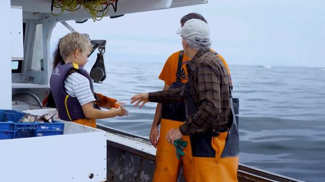 Joseph Rosendo's Travelscope - Season 11 Series Overview смотреть онлайн