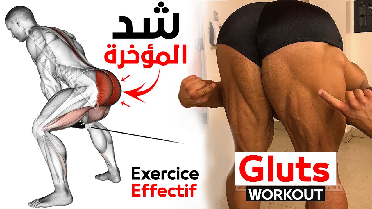 7 ЛУЧШИХ УПРАЖНЕНИЙ ДЛЯ ЯГОДИЧНЫХ МЫШЦ смотреть онлайн