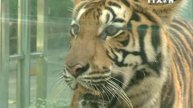 Saigon - TPHCM Thảo Cầm Viên (Saigon Zoo And Botanical Gardens)