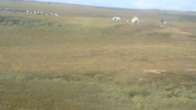 Пугаем местных смотреть онлайн