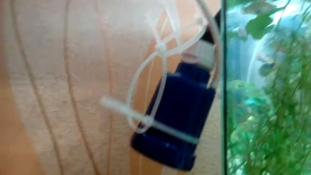 Чистая вода в аквариуме